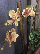 昨晚跟同事去了七里河区高端男士会所助浴,体验感超级棒,一定要去一次哦